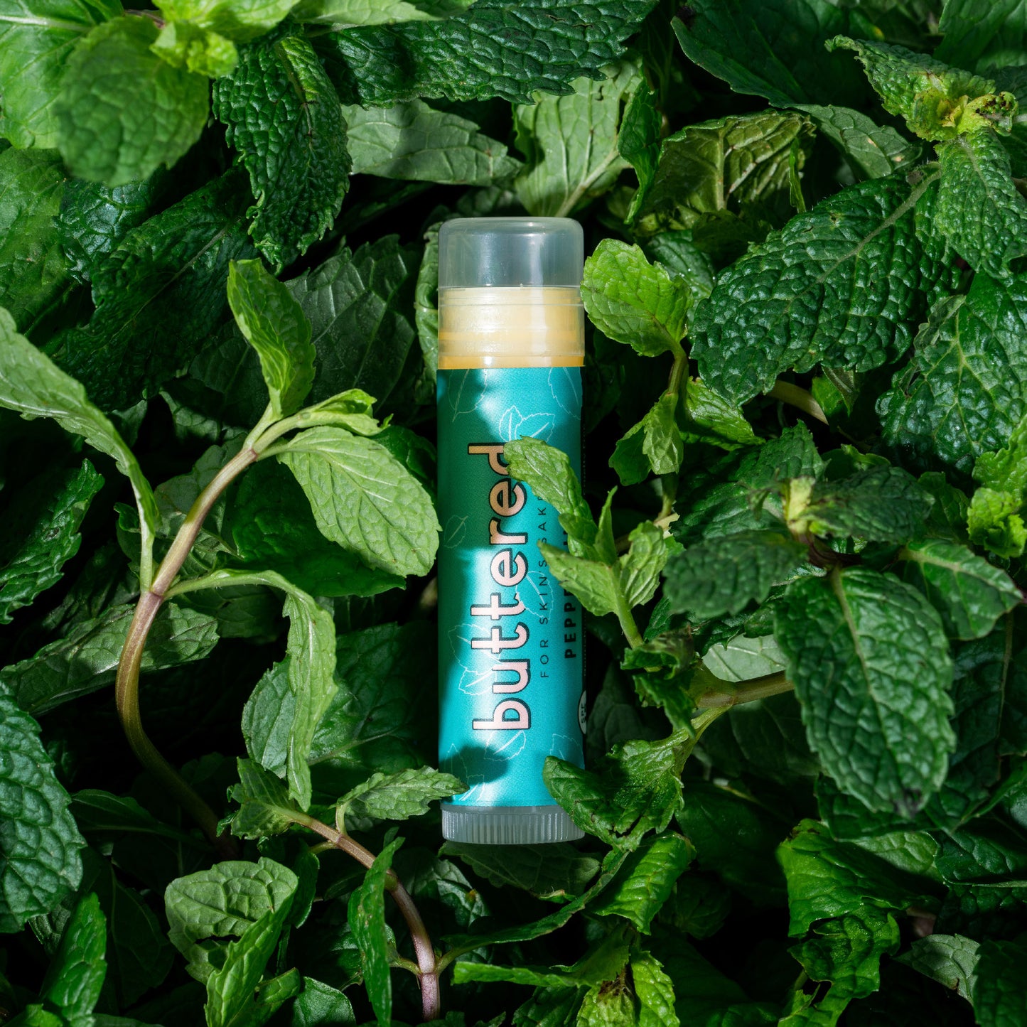 Buttered Lip Balm dengan segala kelebihannya